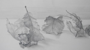  Carol- A- Morley leaves-2
