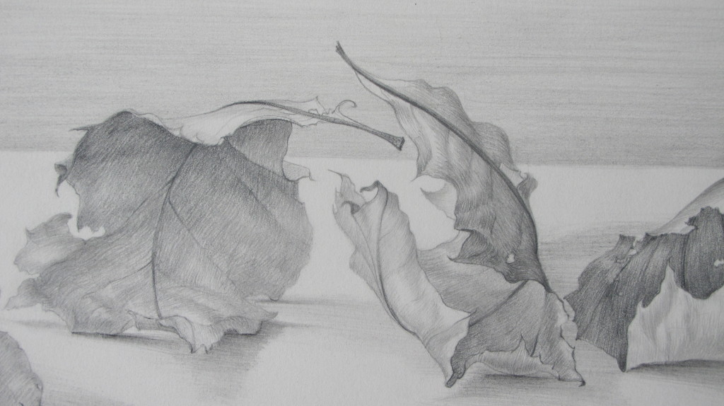 carolannmorley-leaves