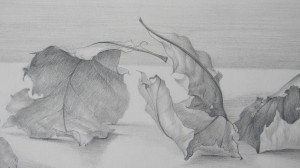 carolannmorley-leaves