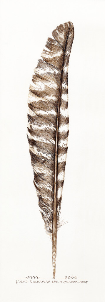 Feather